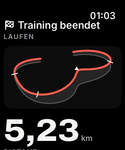 Trainingsübersicht mit Spur auf der Apple Watch