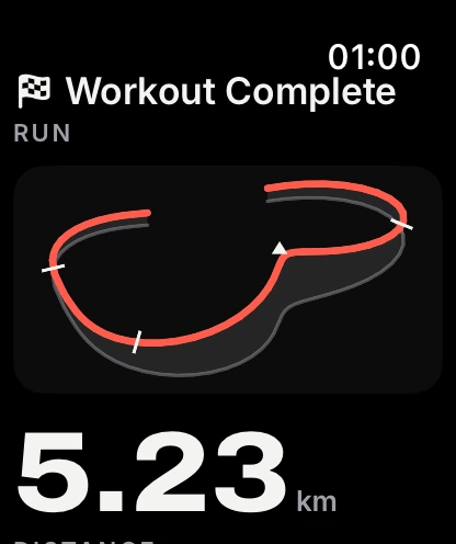 Workout summary with trace on Apple Watch