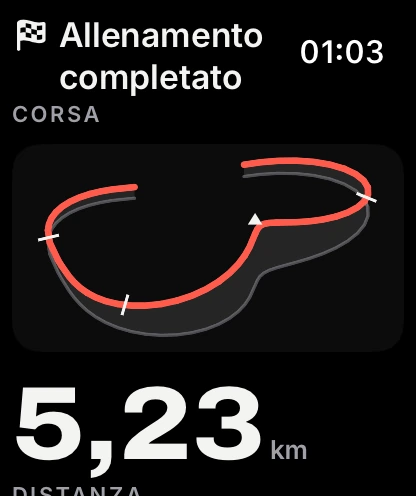 Riepilogo dell'allenamento con la traccia su Apple Watch