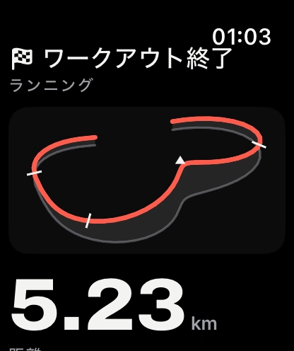 Apple Watch の軌跡付きワークアウト終了画面