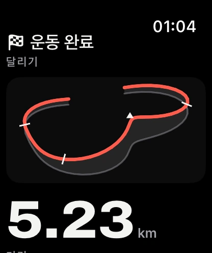 Apple Watch의 궤적이 담긴 운동 요약