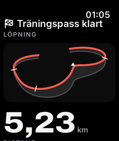 Sammanfattning av träningspasset med spår på Apple Watch